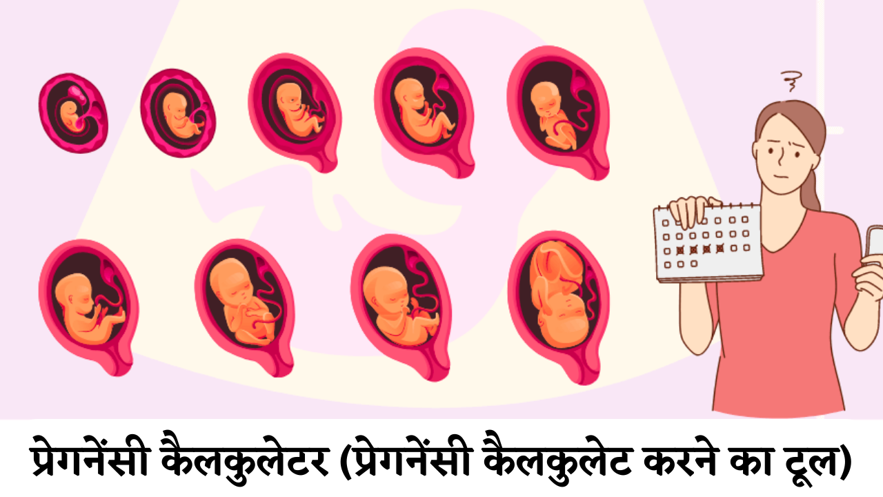 pregnancy-calculator-pregnancy-hindi